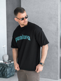 Футболки і поло TeamV модель 730P-3-PN Фото