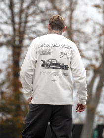 Худи и свитшоты TeamV модель 737P-2-PR Фото