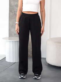 Штани TeamV модель 151-23-WS Фото