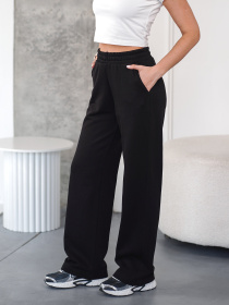 Штани TeamV модель 151-23-WS Фото