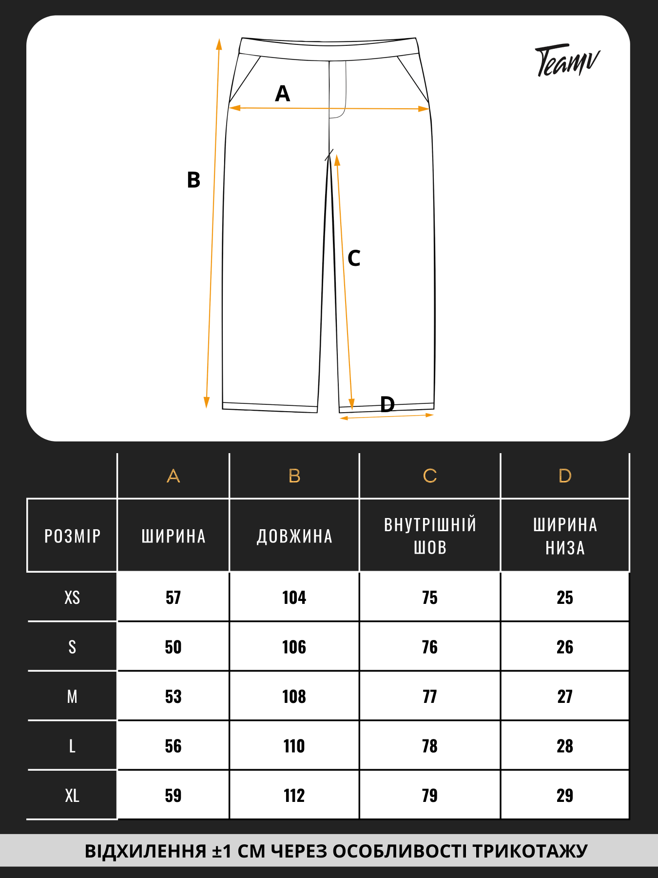 Штани TeamV модель 151-23-WS Фото