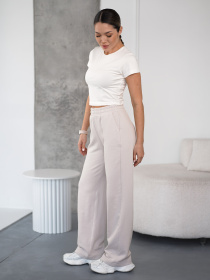 Штани TeamV модель 151-23-WS Фото