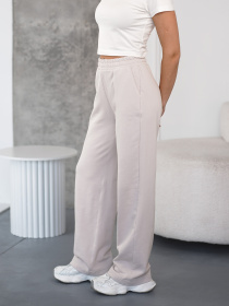 Штани TeamV модель 151-23-WS Фото