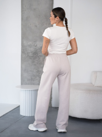 Штани TeamV модель 151-23-WS Фото