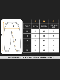 Штани TeamV модель 152-23-JS Фото