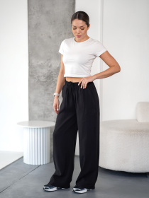 Штани TeamV модель 160-1-TD Фото