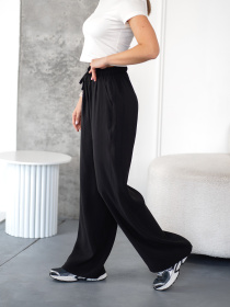 Штани TeamV модель 160-1-TD Фото