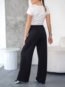 Штани TeamV модель 160-1-TD Фото