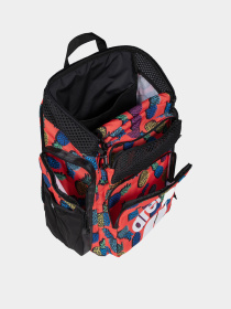 Рюкзаки Arena модель 010232-106 Фото