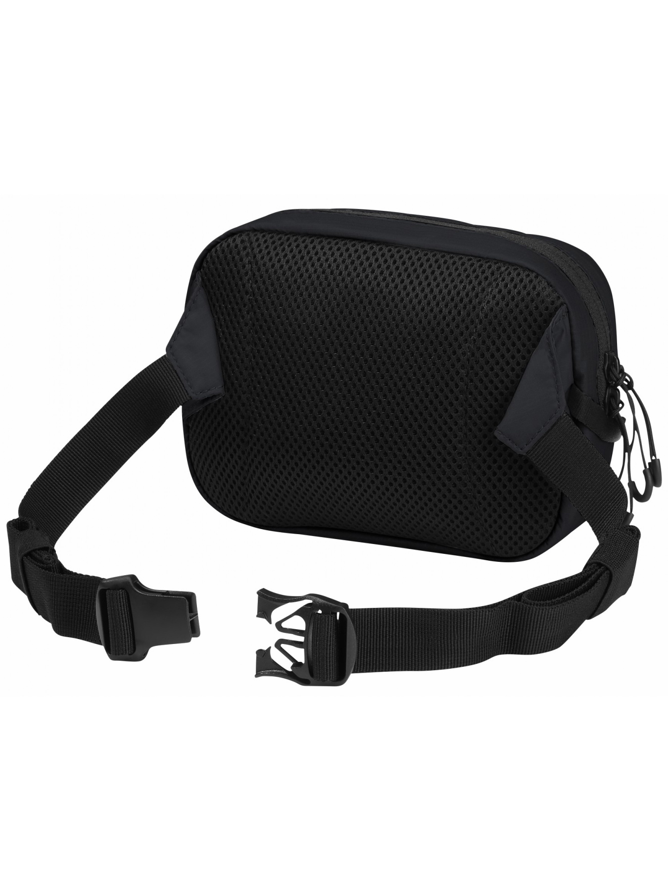 Сумки Jack Wolfskin Wandermood Hipbag модель 8007891_6350 Фото