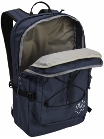 Рюкзаки Jack Wolfskin Berkeley 24 модель A65980_C0412 Фото