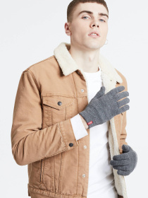 Перчатки и варежки Levi's модель 38029;0031 Фото