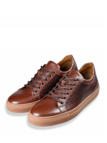 Кеды низкие Tanner модель KingstonBrown Фото