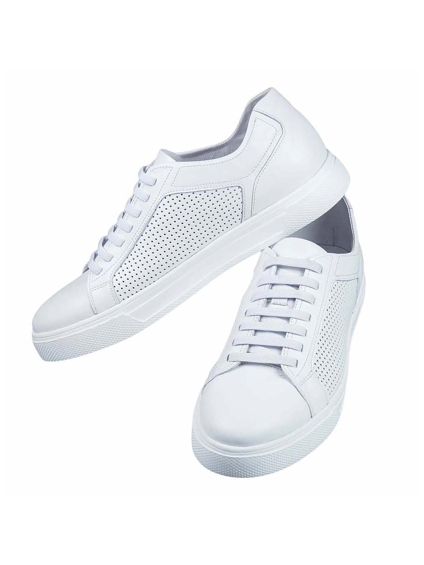 Кеди низькі Tanner Модель ManchesterWhite Фото