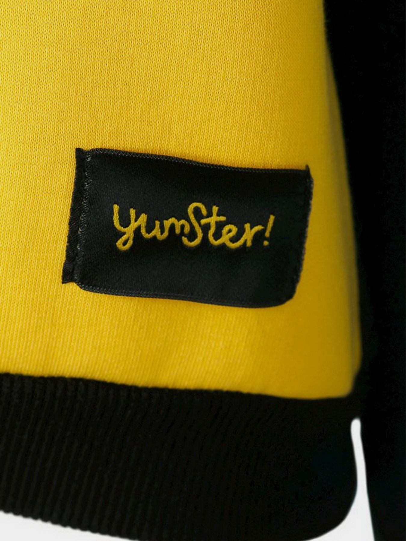 Худі та світшоти YUMSTER модель YC.02.09.004-G Фото