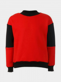 Свитшот YUMSTER модель YC.02.09.007-G Фото