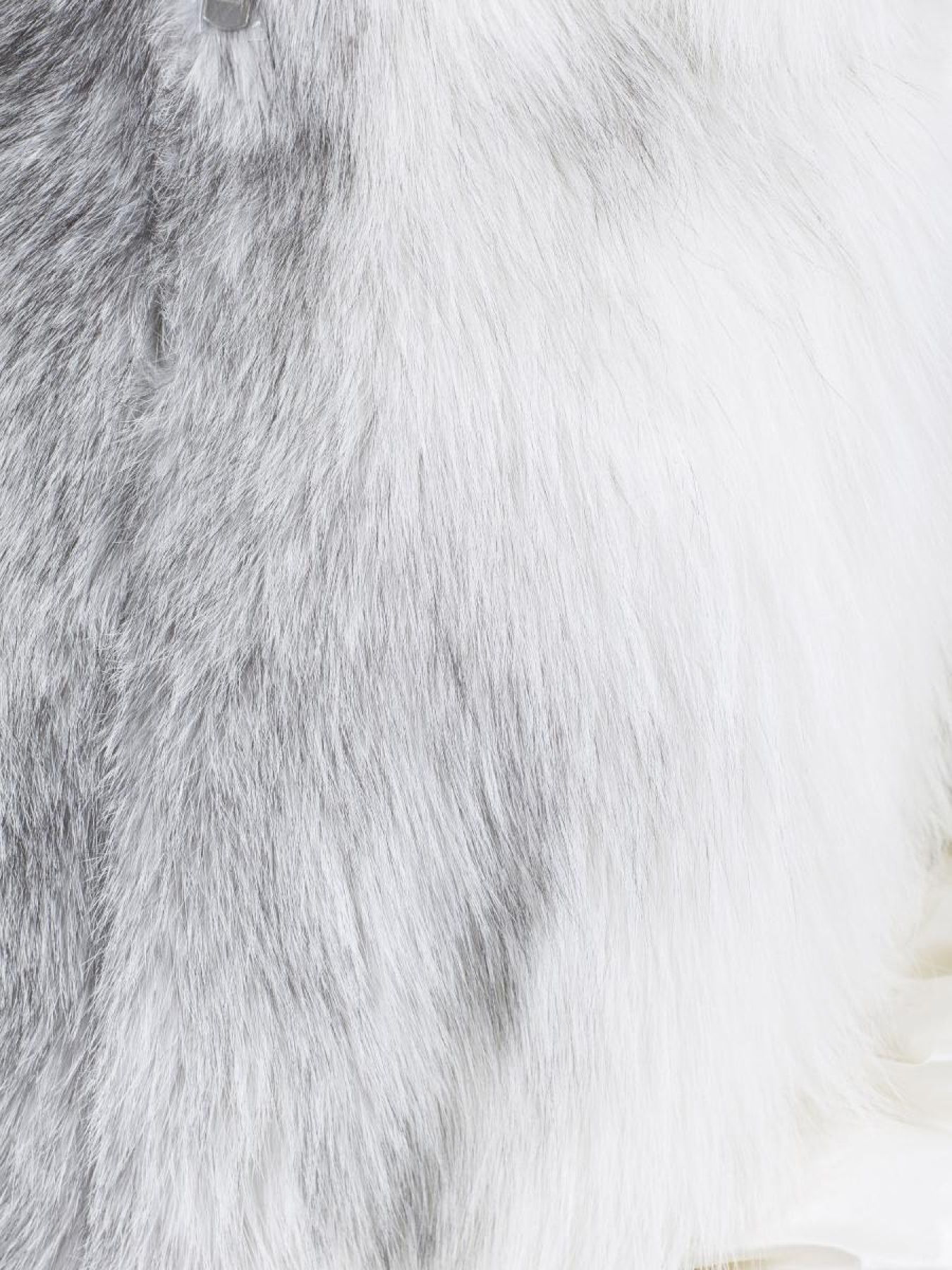 Куртки и дубленки Bella Bicchi модель 28809 Фото