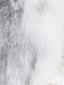 Куртки и дубленки Bella Bicchi модель 28809 Фото