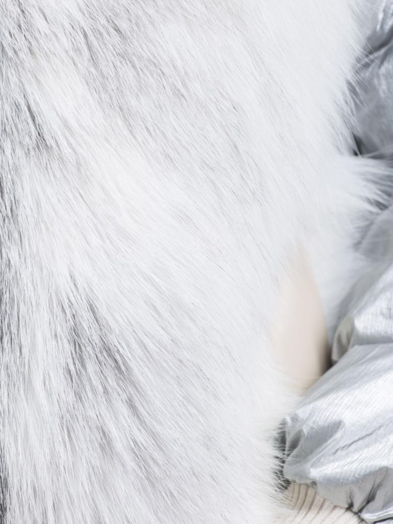 Куртки и дубленки Bella Bicchi модель 28813 Фото