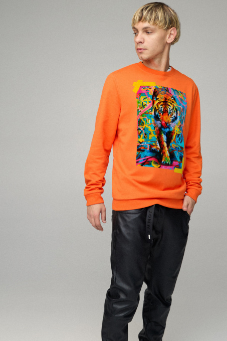 Свитшот YAPPI модель BSMPO10021 Фото