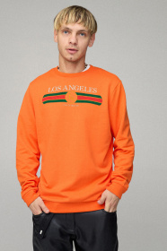 Свитшот YAPPI модель BSMPO10035 Фото