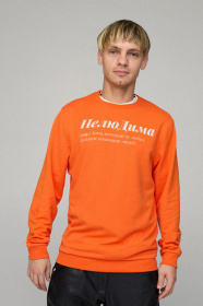 Свитшот YAPPI модель BSMPO10040 Фото