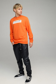 Свитшот YAPPI модель BSMPO10050 Фото