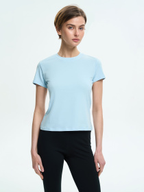 Футболки і поло Роза модель 240239_gray_blue Фото