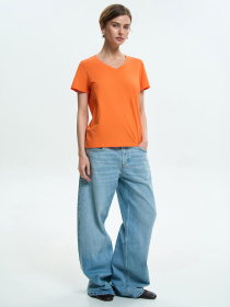 Футболки і поло Роза модель 231108_orang Фото