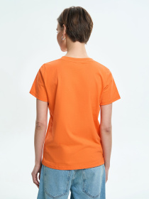 Футболки і поло Роза модель 231108_orang Фото