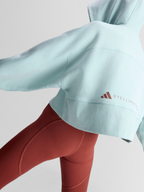 Худі та світшоти Adidas модель JZ0655 Фото