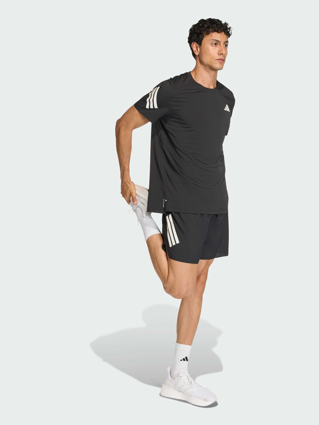 Шорты Adidas модель JZ7709 Фото