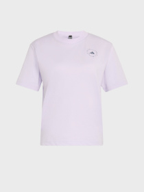 Футболки и поло Adidas модель JZ0689 Фото