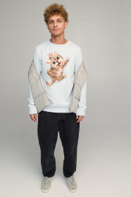 Свитшот YAPPI модель BSMPS10046 Свитшот YAPPI модель BSMPS10046 Фото