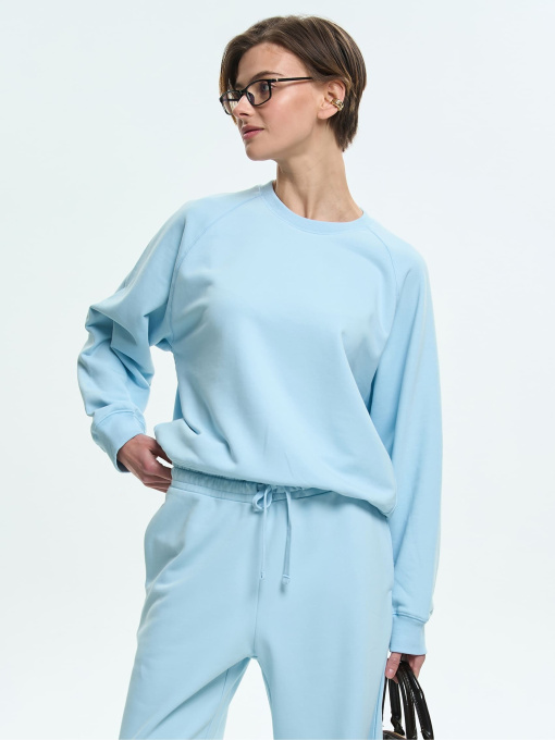 Худи и свитшоты Роза модель 231111_grey_blue Фото