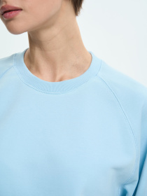 Худи и свитшоты Роза модель 231111_grey_blue Фото