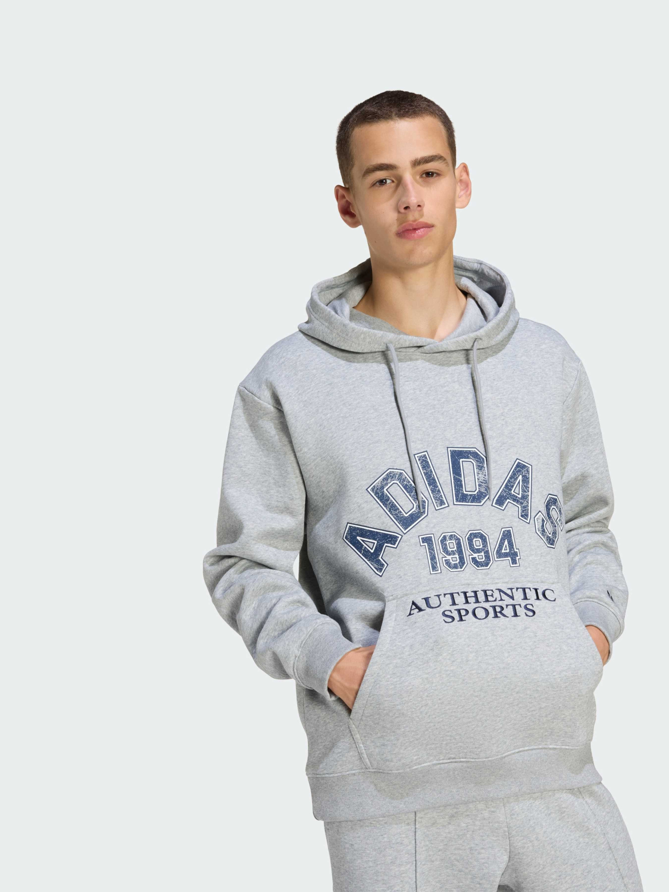 Худі та світшоти Adidas Graphics модель KE2239 Фото