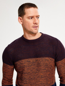 Светри та кардигани DIVERSE модель 10035628 Фото