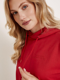 Худи и свитшоты DIVERSE Fionia модель 10037824 Фото