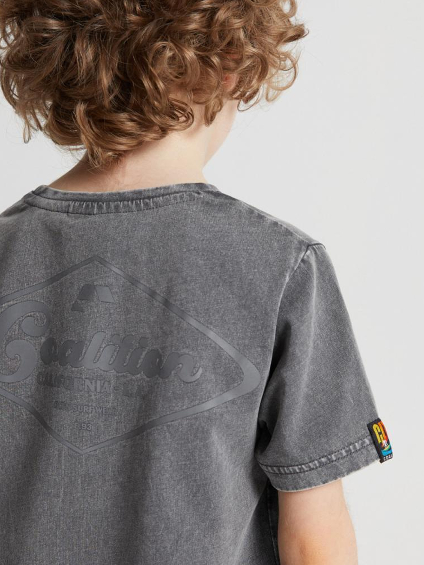 Футболки и поло DIVERSE Cltn K Sun02 модель 10041772 Фото