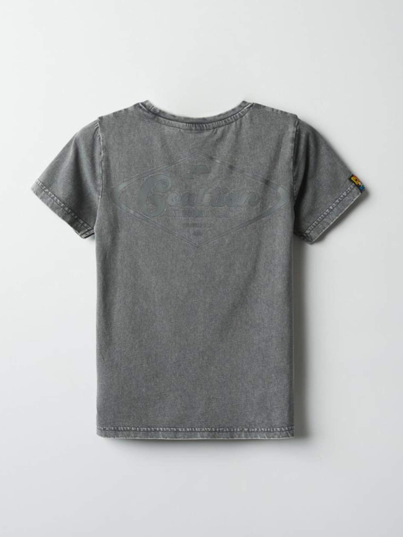 Футболки и поло DIVERSE Cltn K Sun02 модель 10041772 Фото