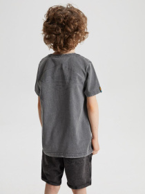 Футболки и поло DIVERSE Cltn K Sun02 модель 10041772 Фото