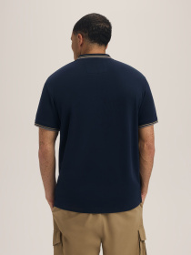 Футболки и поло DIVERSE Stripezip модель 10047745 Фото