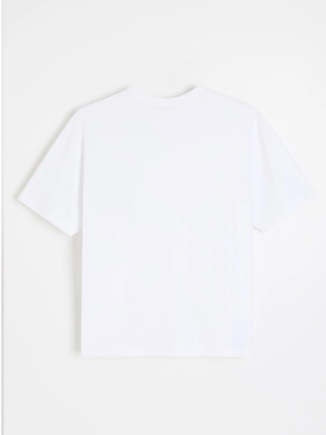 Футболки і поло DIVERSE Glenis модель 10048878 Фото