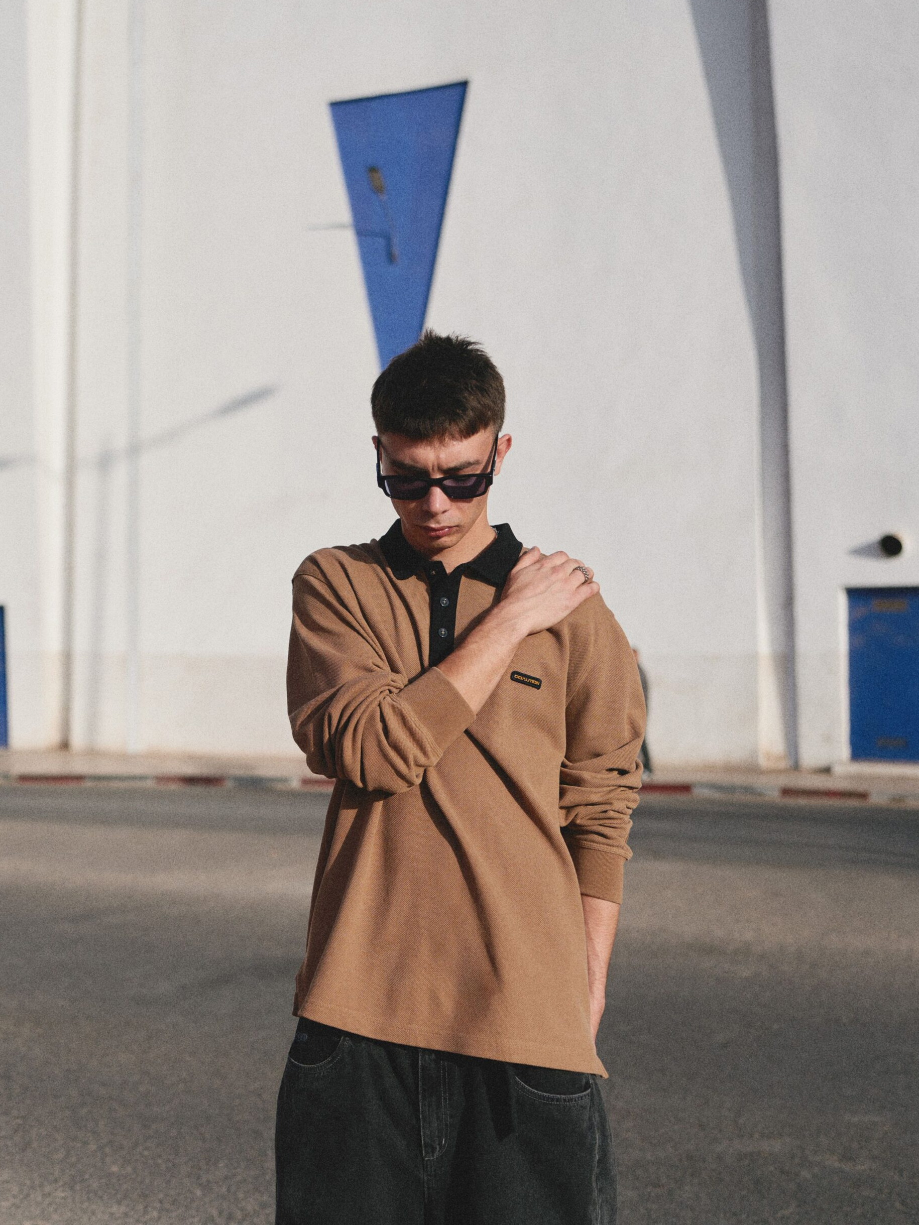 Бавовняний Чоловічий Лонгслів DIVERSE Cltn Sk8 Lg Polo (10049012001) колір коричневий DIVERSE - купити в Україні