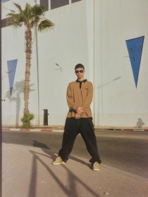 Худи и свитшоты DIVERSE Cltn Sk8 Lg Polo модель 10049012 Фото