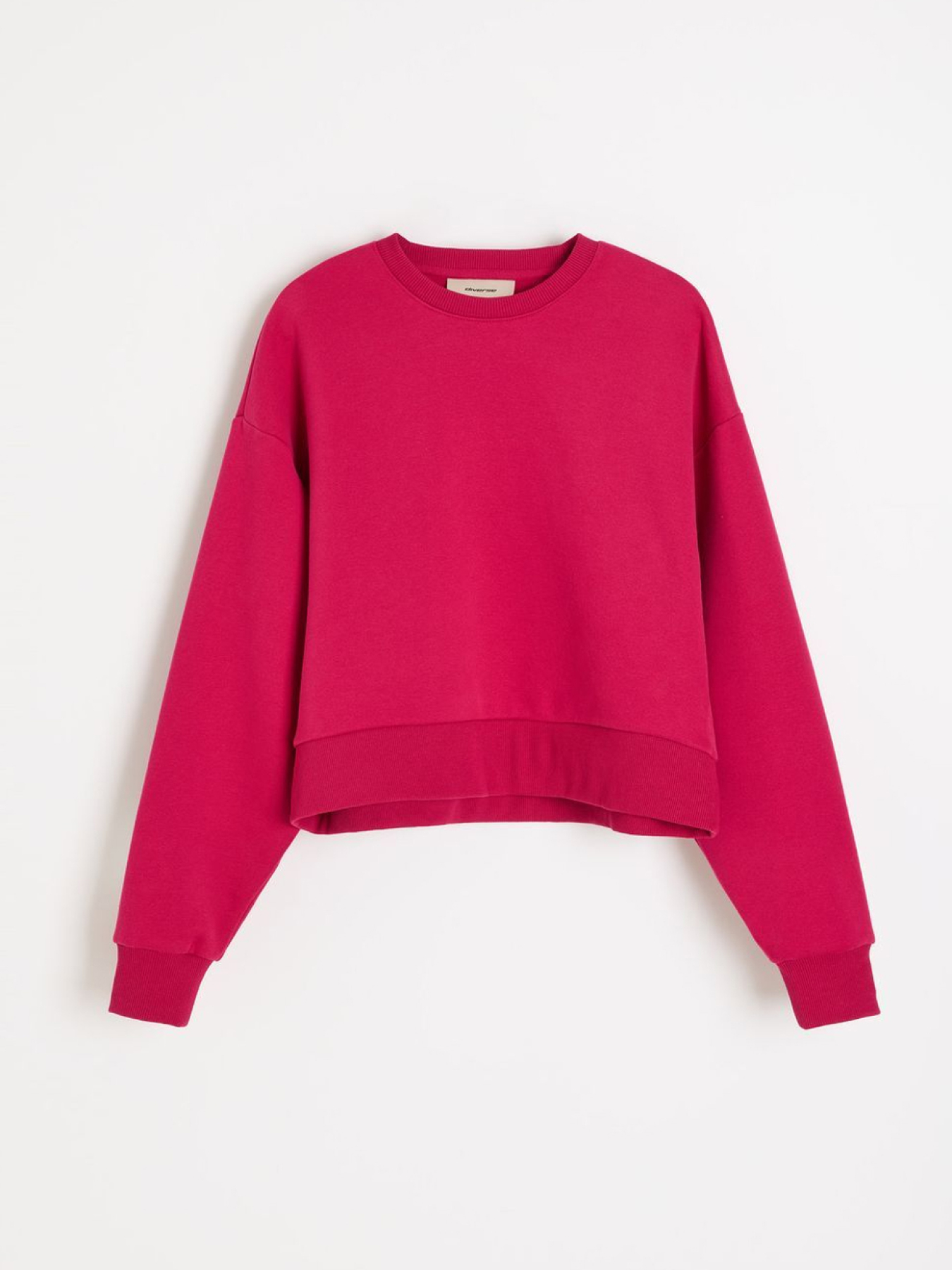 Худі та світшоти DIVERSE Seaila модель 10049091 Фото