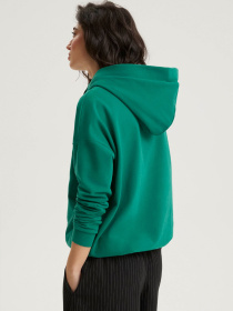 Худи и свитшоты DIVERSE Tankio 262 модель 10049092 Фото