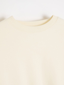 Худі та світшоти DIVERSE Tussoy модель 10049095 Фото