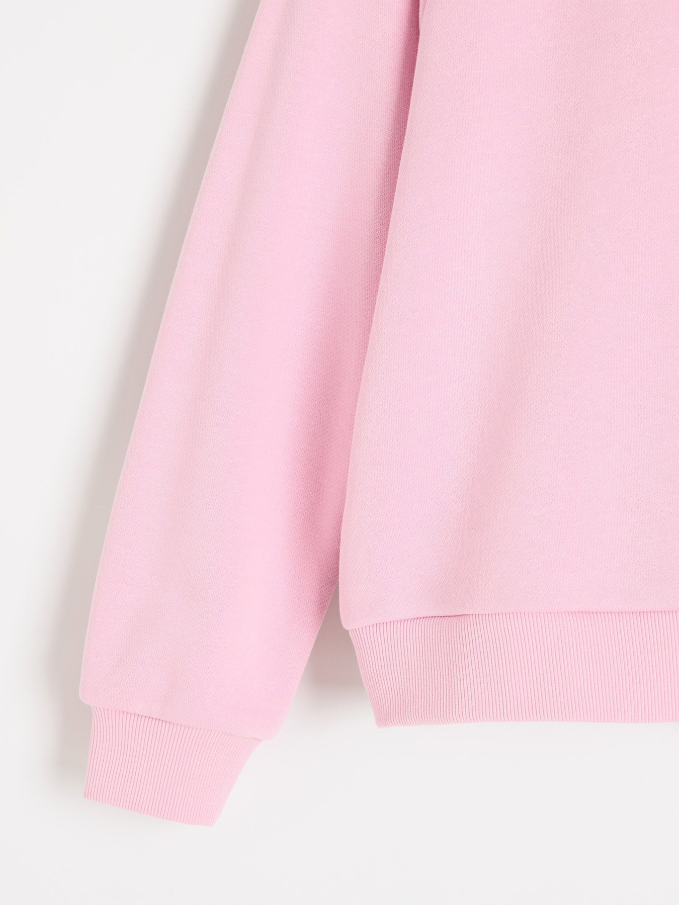 Худи и свитшоты DIVERSE Zawra модель 10049096 Фото